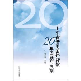 山东省借用国外贷款20年回顾与展望