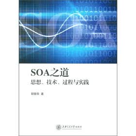 SOA之道：思想、技术、过程与实践