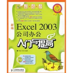新编Excel 2003公司办公入门与提高（附光盘）