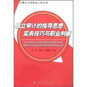 注册会计师执业上岗必读：独立审计的指导思想实务技巧与职业判断