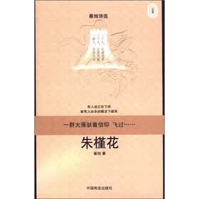 秦旭诗选：朱槿花