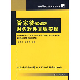 会计真账实操技巧与训练：管家婆辉煌版财务软件真账实操