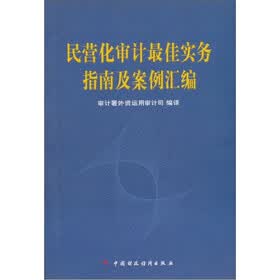 民营化审计最佳实务指南及案例汇编