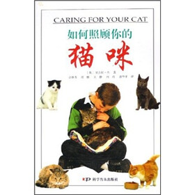 如何照顾你的猫咪