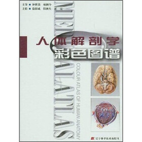 人体解剖学彩色图谱
