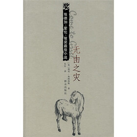 埃德加·爱伦·坡奖最佳小说：无由之灾