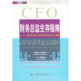 财务总监生存指南:通往财务领导的必由之路