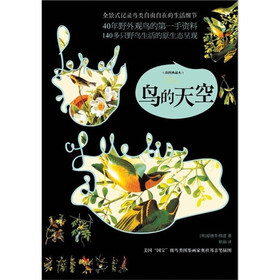 鸟的天空