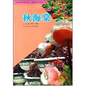 秋海棠