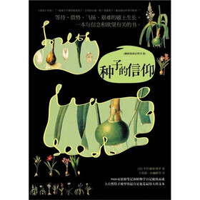 种子的信仰