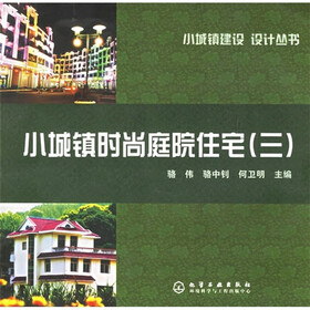 小城镇时尚庭院住宅（3）
