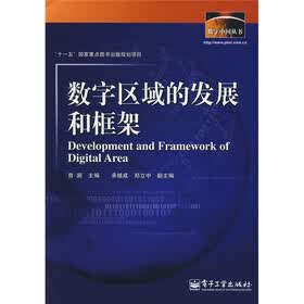 数字区域的发展和框架