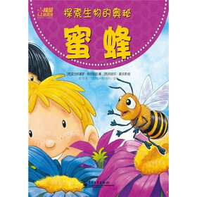探索生物的奥秘：蜜蜂