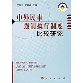 中外民事强制执行制度比较研究
