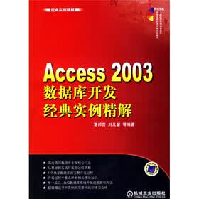 经典实例精解：Access2003数据库开发经典实例精解（附光盘）