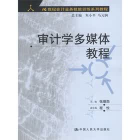 21世纪会计业务技能训练系列教程：审计学多媒体教程