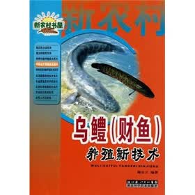 乌鳢（财鱼）：养殖新技术