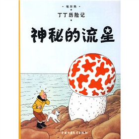 丁丁历险记：神秘的流星