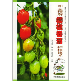 图文精解樱桃番茄种植技术