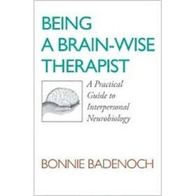 Being a Brain-Wise Therapist: A Practical Guide to Interpersonal Neurobiology