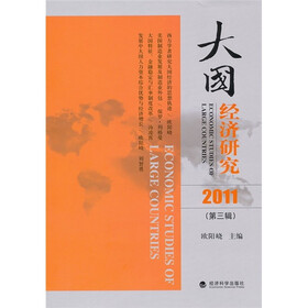 大国经济研究（2011年）（第3辑）