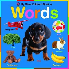 My Giant Fold-out Words（木板书）