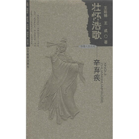 齐鲁人杰丛书·壮怀浩歌：辛弃疾