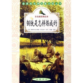 新课标世界名著必读丛书：钢铁是怎样炼成的（彩色插图）（精读本）