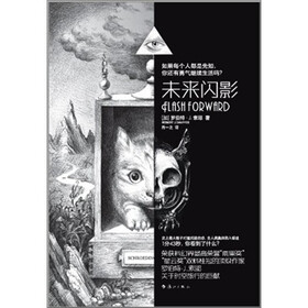 未来闪影