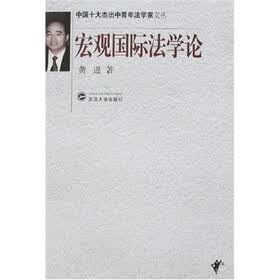 宏观国际法学论
