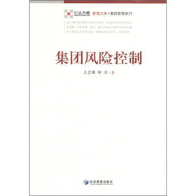 集团风险控制