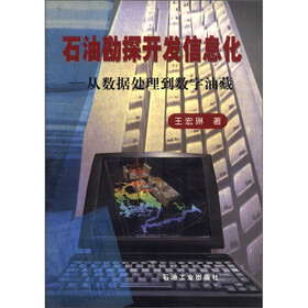 石油勘探开发信息化：从数据处理到数字油藏