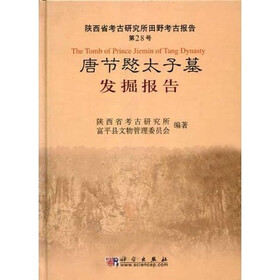 唐节愍太子墓发掘报告
