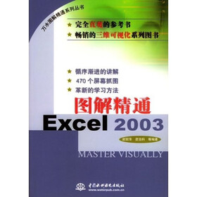 图解精通Excel2003：万水图解精通系列丛书