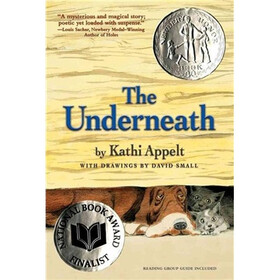 The Underneath