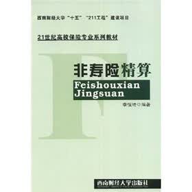 21世纪高校保险专业系列教材：非寿险精算