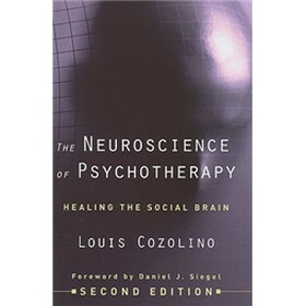 The Neuroscience of Psychotherapy: Healing the Social Brain
