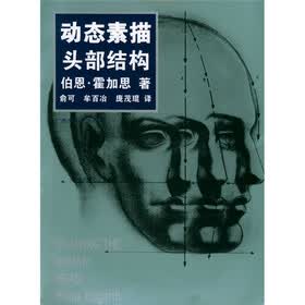 动态素描:头部结构