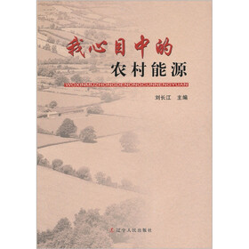 我心目中的农村能源