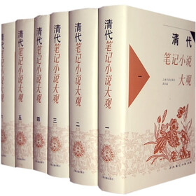 清代笔记小说大观（共6册）