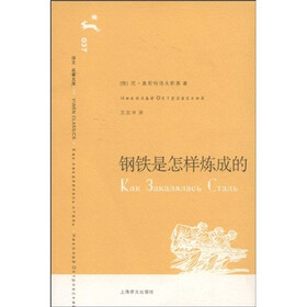 钢铁是怎样炼成的