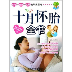 十月怀胎全书