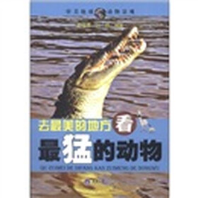 去最美的地方,看最猛的动物