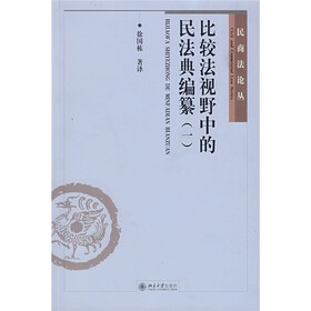 比较法视野中的民法典编纂1