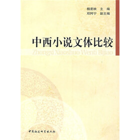 中西小说文体比较
