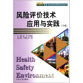 HSE健康安全与环境管理体系实用丛书：风险评价技术应用与实践（下册）