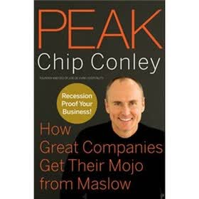 Peak: How Great Companies Get Their Mojo from Maslow
