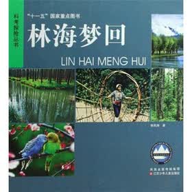 林海梦回
