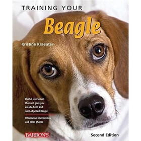 Training Your Beagle (Training Your Dog)