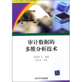审计数据的多维分析技术（配光盘）